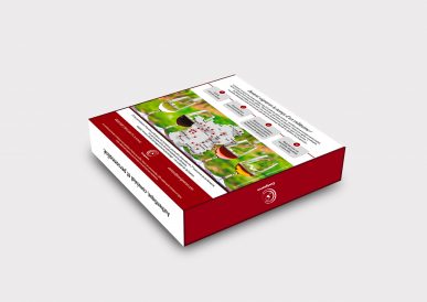 mockup-box-verso