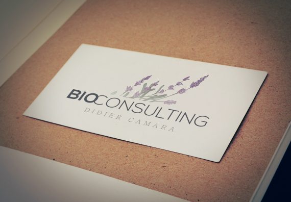 bioconsulting